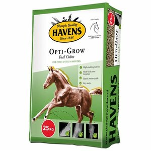 Havens Veulenkorrel Opti Grow 25 KG