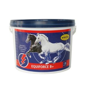 EQUIFORCE B+
