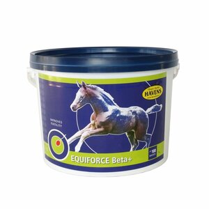 EQUIFORCE Beta+