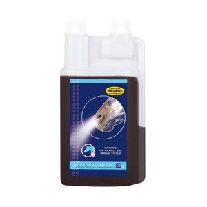 EQUIFORCE Ventilator+