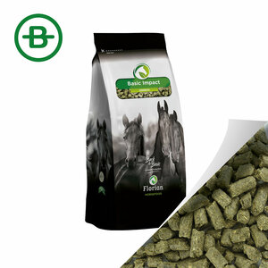 Oerbrok Basic Impact