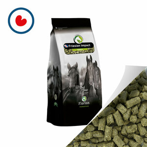 Oerbrok Friesian Impact