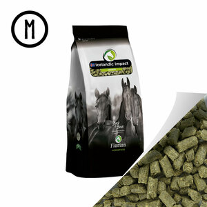 Oerbrok Icelandic Impact