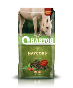 Hartog Haycobs