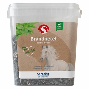 brandnetel