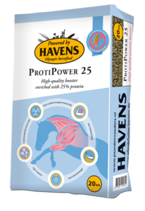 Havens ProtiPower 25