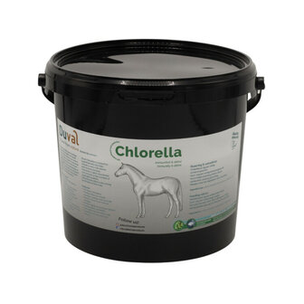 Duval Chlorella