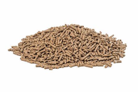 Masters Basis-Sport 10 MM 20 kg