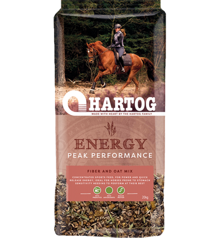 Hartog Energy