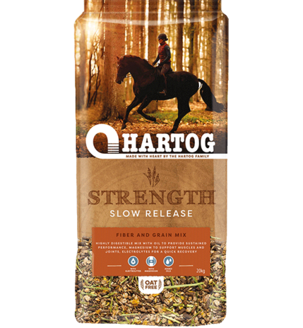 Hartog Strength