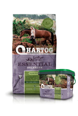 HARTOG ESSENTIAL 
