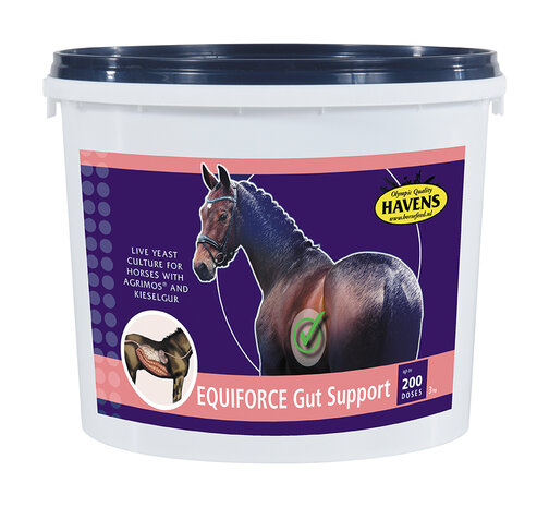 EQUIFORCE Gut Support
