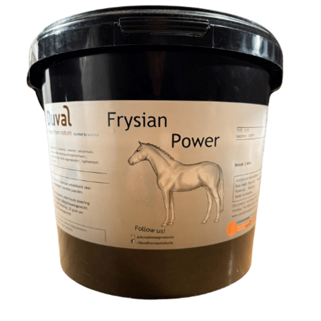 Frysian Power