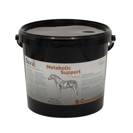 Metabolic Support