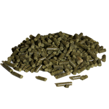Metabolic Support