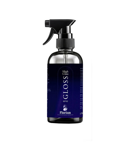 High Class Gloss spray 500ml