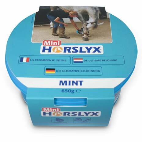 Horslyx Mint Balancer Mini
