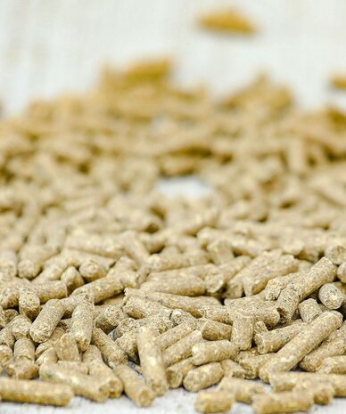 Probreed Pellet 20 kg