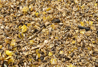 Hippalgo Paarden-diner