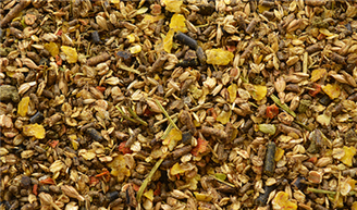 Hippalgo Dressuur Plus