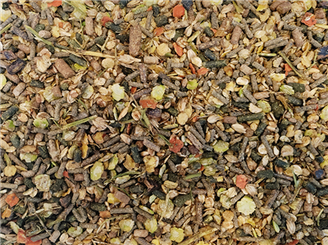 Hippalgo Senior Plus