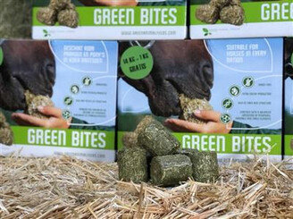Green Bites