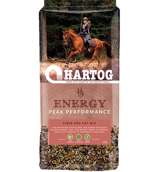 Hartog Energy