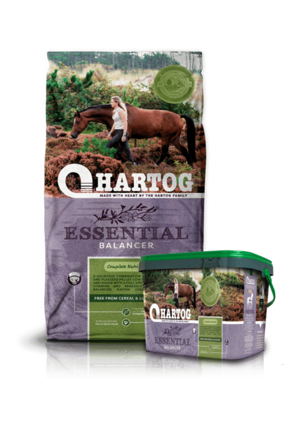 HARTOG ESSENTIAL 