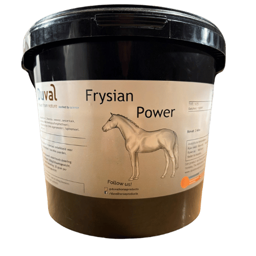 Frysian Power