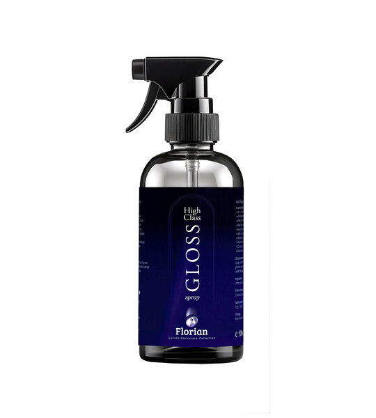 High Class Gloss spray 500ml