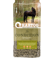 Hartog Condition