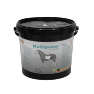 Duval Multipower