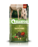 Hartog Haycobs