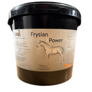 Frysian Power