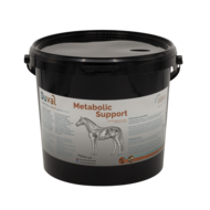 Metabolic Support
