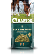Hartog Lucerne Plus